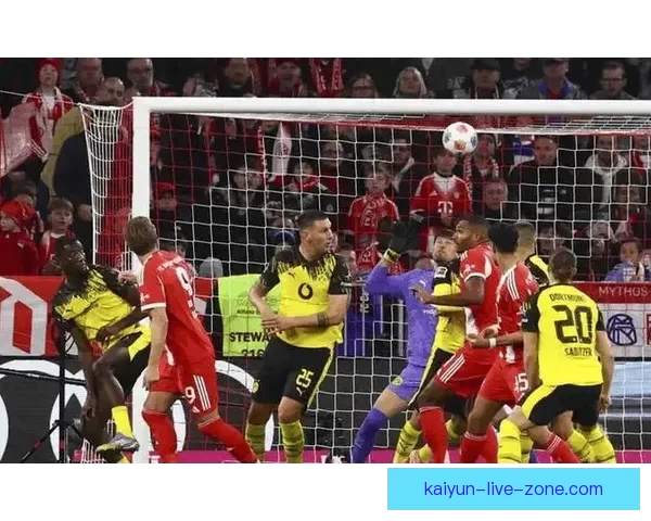 开云体育世界杯精彩回顾 全程精彩赛事与独特视角尽收眼底